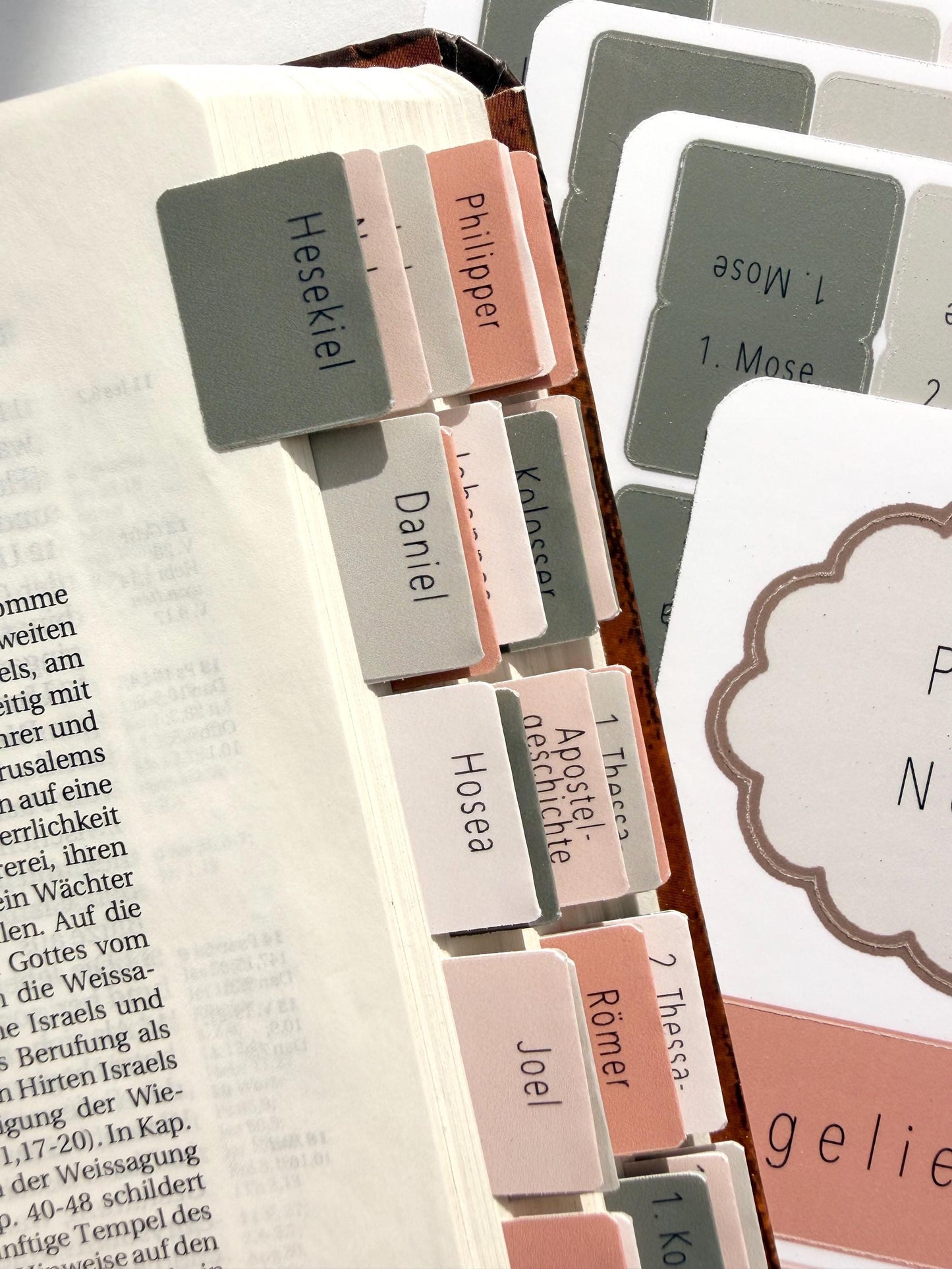 Bibelregister Deutsch | rosa-grün | Bibel Tabs Frauen Bibelregister für Mädchen deutsche Bibelregister, Bibel Journaling