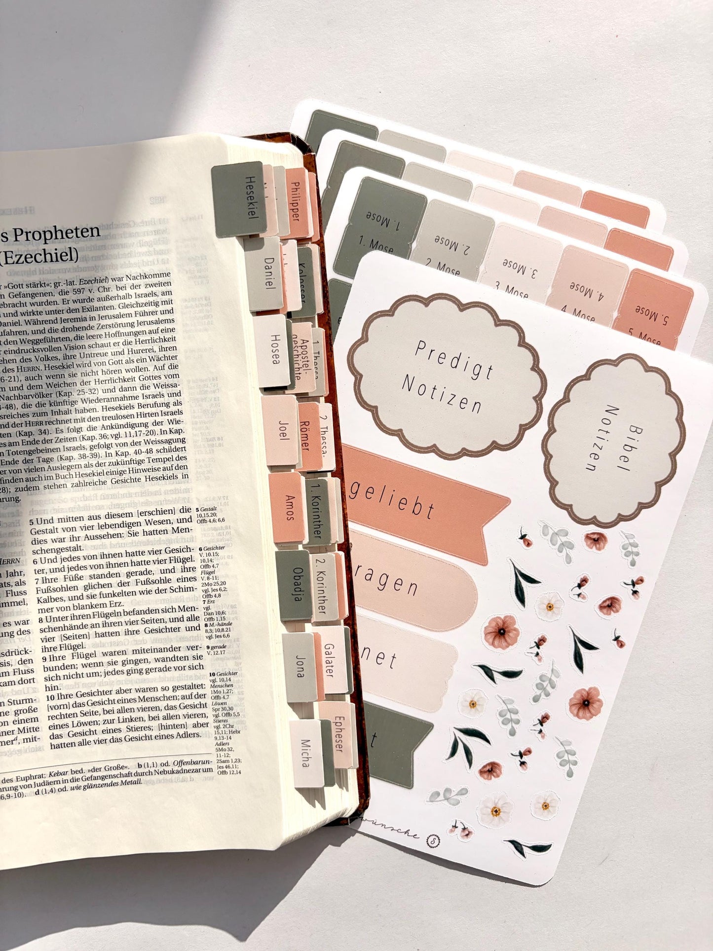 Bibelregister Deutsch | rosa-grün | Bibel Tabs Frauen Bibelregister für Mädchen deutsche Bibelregister, Bibel Journaling