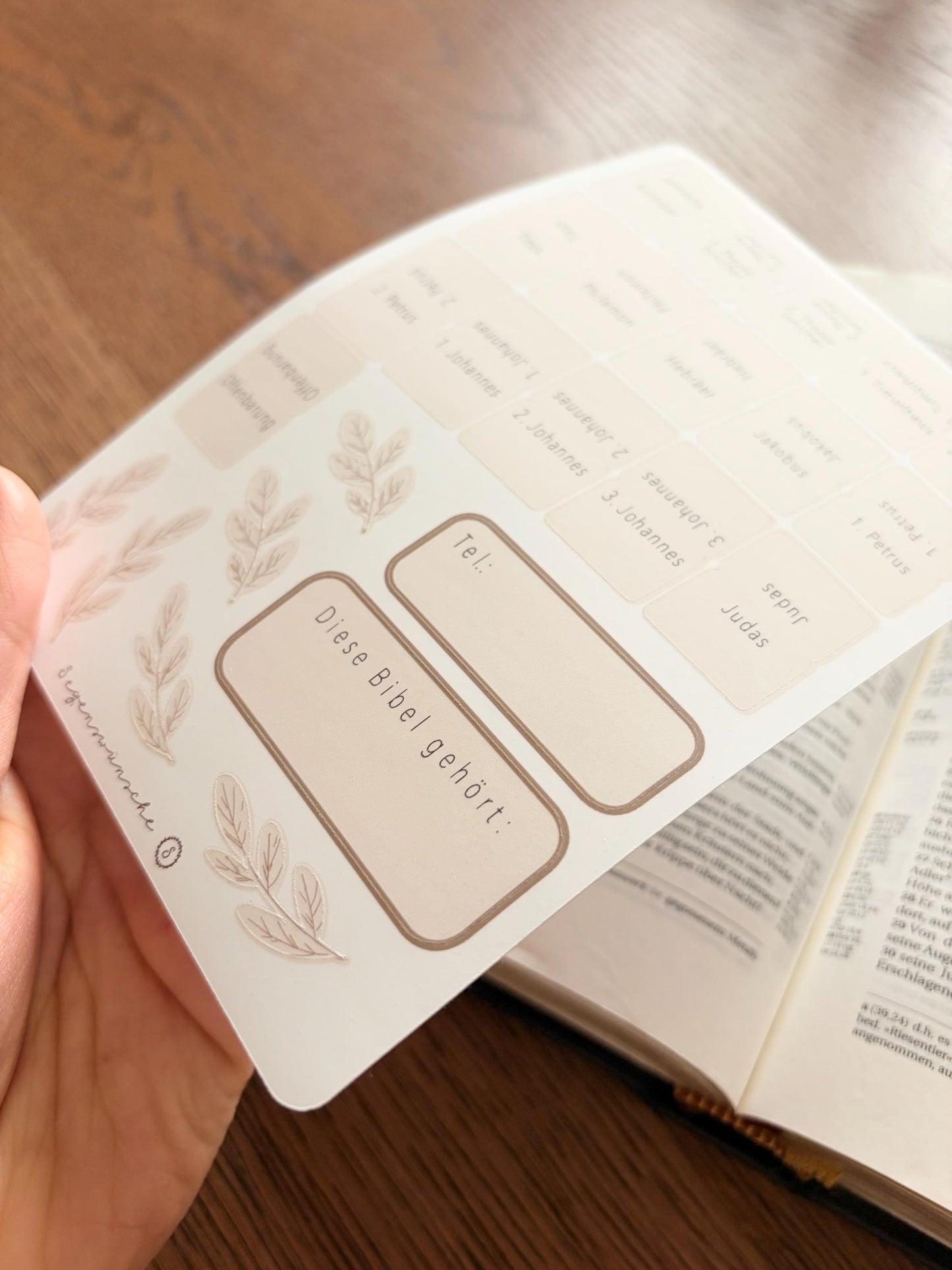 Bibelregister Deutsch | beige Bibel Tabs für Männer und Frauen Bibelregister für Mädchen und Jungen deutsche Bibelregister, Bibel Journaling