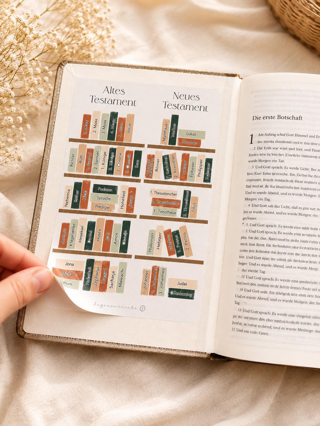Bücher der Bibel Sticker Christliche Sticker braun mit Bibelbüchern Bibelvers Sticker Bibel Zubehör christliche Sticker deutsch Bibelzubehör